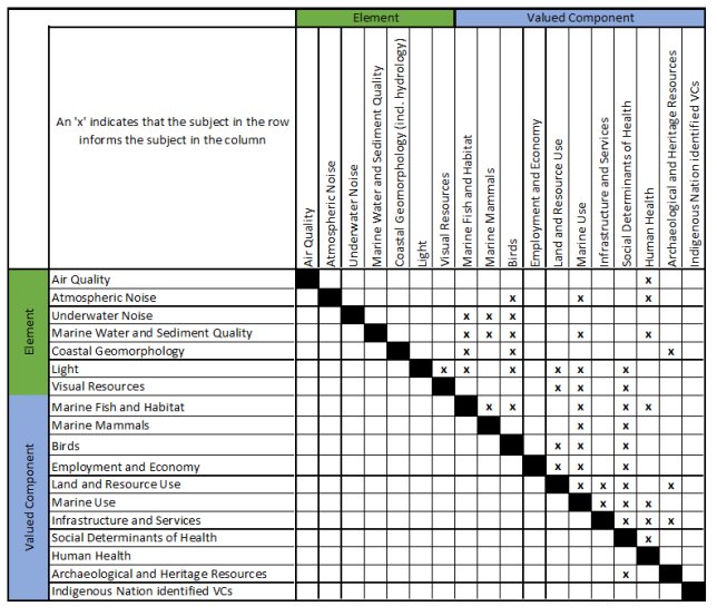 Figure 1 Valued Component/Element linkage matrix